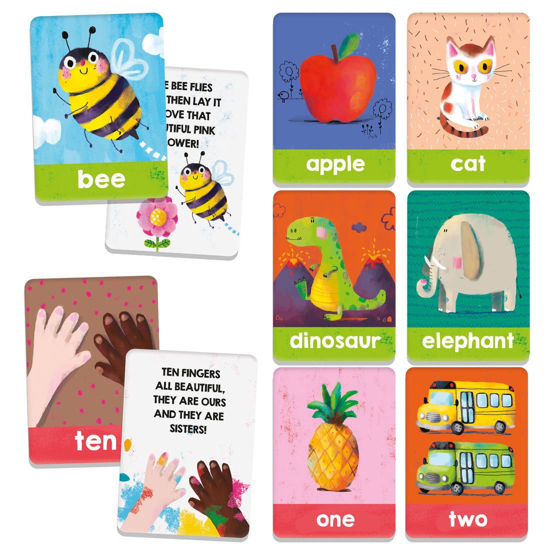 Discover Flashcards Montessori